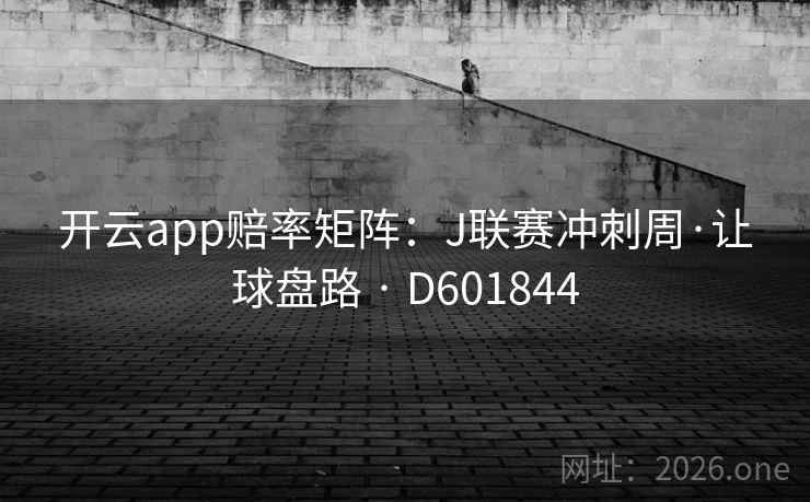 开云app赔率矩阵：J联赛冲刺周·让球盘路 · D601844  第2张
