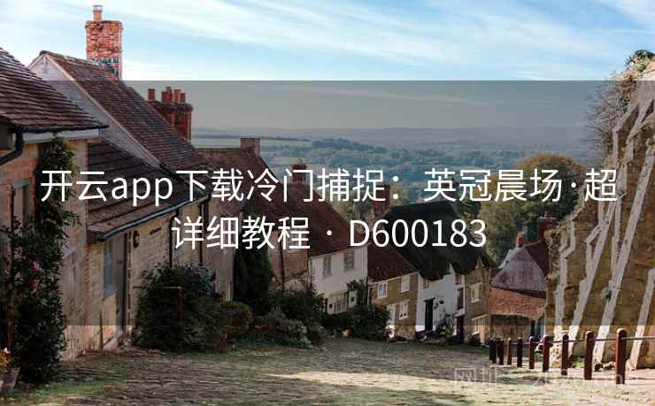 开云app下载冷门捕捉:英冠晨场·超详细教程 · D600183 第2张 开云app下载冷门捕捉:英冠晨场·超详细教程 · D600183 第2张