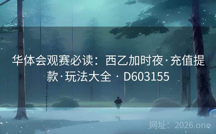 华体会观赛必读：西乙加时夜·充值提款·玩法大全 · D603155